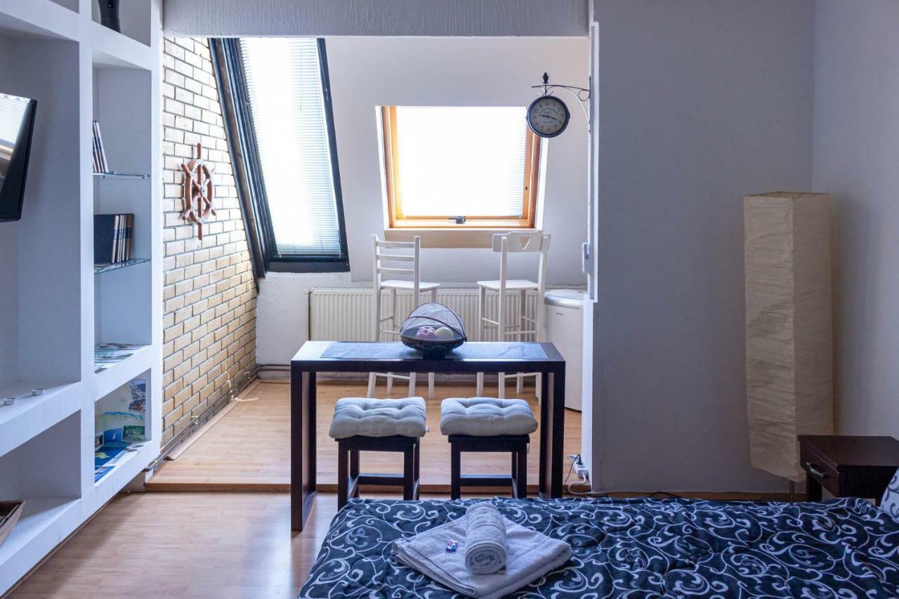 Apartman "Soba Sa Pogledom" Golubac Exterior foto